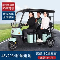다인승 오토바이 삼륜 전동차 세발 전기 스쿠터 미니 카트 미니 노인 장애인, 60V, 500W 48V 20A 납산 배터리