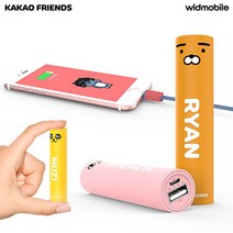 카카오프렌즈 핸드폰 휴대폰 보조배터리 아이폰 갤럭시 휴대용 3350mAh, 라이언, 20cm C타입