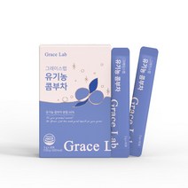 그레이스랩 유기농 콤부차 5g, 4박스(120포) - 9%추가할인
