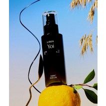 LIBER 섬유향수 100ml 7종, 선 드라이 Sun Dry, 1개