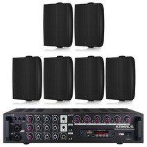 TANNOY DVS4 4인치 레스토랑 스피커 RE60TD6 블랙