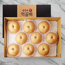 [웰굿]남양주 명품 먹골배 선물세트 4호(7.5kg 9과 특대과), 단품
