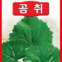 [가람종묘사] 곰취 씨앗(국화과에 속하는 다년생초이며 허리가 아프거나 기침을 다스리는 효과가 있음)