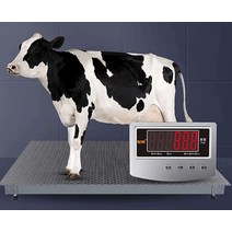 농장용 우형기 돼지 소 저울 계량 계근기 계근대 톤백, 대형화면 0.75x1.5m(0~3톤)
