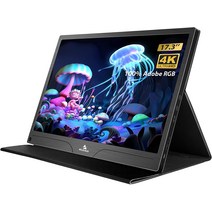 NexiGo 4K 휴대용 모니터 173인치 400니트 FreeSync 어도비 RGB IPS 디스플레이 확장 기능이 있는 듀얼 스, 01 17.3 Inch