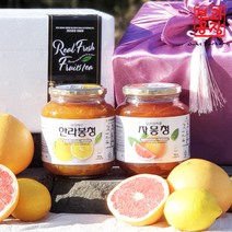 [ 과일청 수제청 선물세트 ] 자몽청950g +제주 한라봉청950g, 1세트