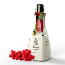 더진한 오미자베리 1.5kg 과일농축액 오미자농축액 오미자청 카페음료, 1개