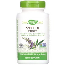 네이쳐스웨이 바이텍스 프루트 400mg 베지테리안 캡슐, 100개입 × 1개