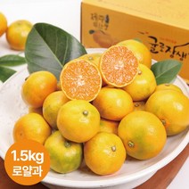 [KT알파쇼핑]제주농협 하우스 감귤 1.5kg 로얄과 (2S-M)