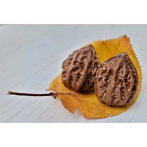 다팜몰 손 지압 가래(추자)열매 어버이날 건강 선물 세트 2개 1세트, 벨벳검정