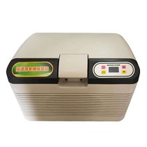 캠핑용 냉장고 차량용 냉동고 휴대용 이동식 소형, 10L 차량 겸용, 10L