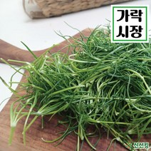 가락시장 당일경매 세발나물 도매야채 신선킹 가락시장야채 500g / 1kg