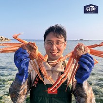 묘한 국내산 당삼 자숙 박달대게 동해안 포항 앞바다 당일 조업 산지직송, 박달대게 대 1마리