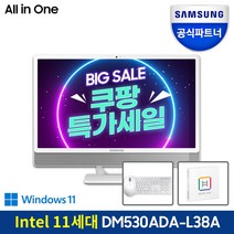 삼성전자 올인원 PC DM530ADA-L38AW (11세대 인텔 i3-1115G4 60.5cm), WIN10 Home, RAM 8GB, NVMe 256GB
