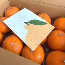 당도 보장 제주 천혜향/ 제철 과일 선물 3kg 4kg 5kg, 천혜향 선물용5kg, 보자기 포장 안함