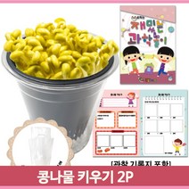 아동 식물 키우기 2P 콩나물 관찰 일지 기록지 만들기 아동 학습 수업