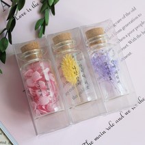 드라이플라워 미니유리병 모음전(+문구)-25ml 프리저브드 플라워보틀 선물, 28. 포아플란츠(블루), 문구추가 10자이내