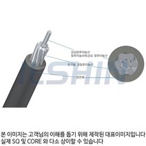 S 111980 ACSR OC AW 22.9Kv 95SQ M단위판매, ACSR OC_AW 22.9Kv 95SQ M단위판매