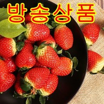 [방송구성] 거창 설향 딸기 350gx4 (총 1.4kg), 350g, 4팩