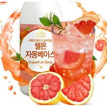 캠핑 칵테일 농축액 과일 농축액 1kg 에이드 베이스 원액 자몽 레몬 청포도 오렌지 복숭아 자두 한라봉 체리 깔라만시오렌지 9가지맛