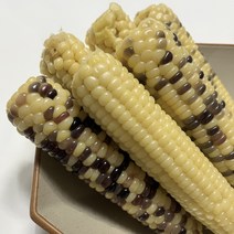 무주 대학찰옥수수 급냉 찐옥수수 12개/24개, 미백6+알록이6개