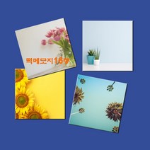 예닮 다쿠용 정사각 메모장 떡메 캐릭터메모지 귀여운메모지 예쁜메모지 칼라 대떡메 떡메모지 도안 떡메모지 제작 2권, 멍멍이
