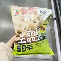 CJ생야채돼지고기물만두 400gx2 x 1개, 아이스보냉백포장