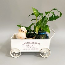 Countryitem 마들렌 정원 수레 크림 화이트, 크림화이트