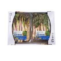 당일수확 강원도재배 땅두릅 두릅, 눈꽃 땅두릅 2kg(500g 4팩)