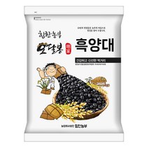 힘찬농부오달봉 수입산 검정강낭콩 흑양대 흑동부 캐나다산, 1개, 2kg