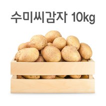 강원도 씨감자 4kg 10kg 20kg, 수미감자(반찬용)