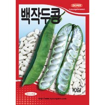 (씨앗) 작두콩 씨앗 (적색 - 백색) 2종 택 1종 - 소포장 - 10립, 백작두콩