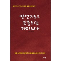 방언기도로 분출되는 카리스마:방언기도로 카리스마 강한 삶을 사실분의 책, 성령