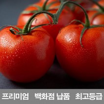 [ClDS-212]영화청과 국내산 토마토 10kg 프리미엄 백화점 남품 요리 즙 키우기 재배, 본상품
