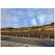 T708-0/노화리사진 대형사진 A1 농촌사진 시골사진 벽장식 인테리어사진 풍경화 풍경사진 풍경화그림, 인화지(코팅)