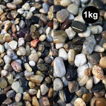 우화석 혼합 광택(유광)1kg 돌 자갈 조경 어항 장식, 종류선택:우화석 혼합 광택(유광) 1kg 소-2