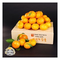 서귀포 하례마을 노지감귤 3kg+3kg ( L/2L 60과 내외)