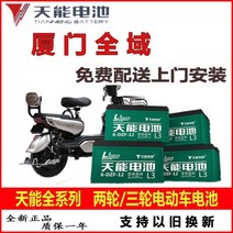 전기 자동차 배터리 48볼트 60V72V12AH20ah 블랙 골드 보상 판매, 세발자전거) Tianneng 60V20AH