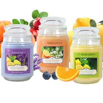 석고방향제 아로마캔들 워머 소이 향수공방 13종 무드등만들기 567g 향초 실내방향제 화장실방향제 차량방향제, 쿠팡1 동물음식냄새제거, 쿠팡1 본상품선택