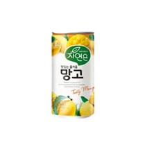 웅진 자연은 70일 망고 180ml x 90캔 소캔, 단품