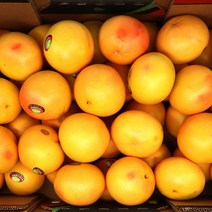 실속형 이스라엘 레드자몽 (사이즈랜덤), 1box, 5kg