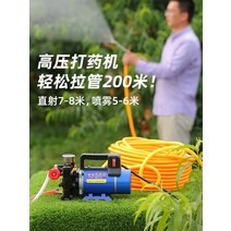 자동차 세차 분무기 농업 양수기 이중 펌프 살충 기계, 12V 플런저 펌프 + 50m 고압 튜브 + 선물 구리 스프레이 건 1개
