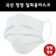 루덴 FDA승인 국산 비말차단 일회용마스크 대형 화이트 3중 MB필터 형광물질없는 마스크, 1팩, 10개