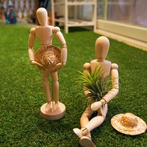이오난사 나무관절인형 틸란드시아 행잉플랜트, 2.이오난사+목각인형(20cm)+밀집모자