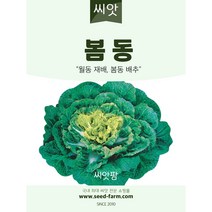 봄동씨앗 (15g)