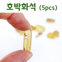 지구과학 교육용 호박 소나무 송진 화석 5개 실험기구 방과후활동