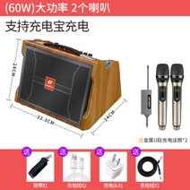 나무 버스킹 앰프 기타 연주 노래 악기 야외 충전, 단일사이즈, N_6.5인치 2 무선 U 세그먼트 마이크