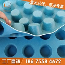 드레인보드 벽체배수판 벽배수판 지하배수판 제조업체 차고 지붕 지하실 방수 루트 보드 플라스틱 물 배수 안티, 17/H25-50mm 대구경 블루 2500g