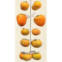 가정용 감 말리기 곶감 만들기 고리 걸이 후크 건조 집게 감꽂이 감말랭이 행거 반건시 대봉 꼬지, 100개용화이트