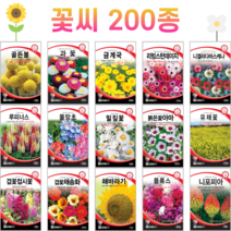 꽃씨 모음 노지 월동 야생화 봄파종 다년생 채송화 패랭이 코스모스 데이지 백일홍 다알리아 제라늄 꽃씨앗, 171. 풍접초 바이올렛퀸 50립 [일]